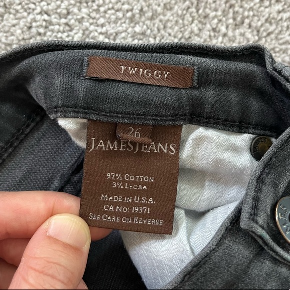James Jeans - Gray Twiggy Fit Jeans - Picture 2 of 8